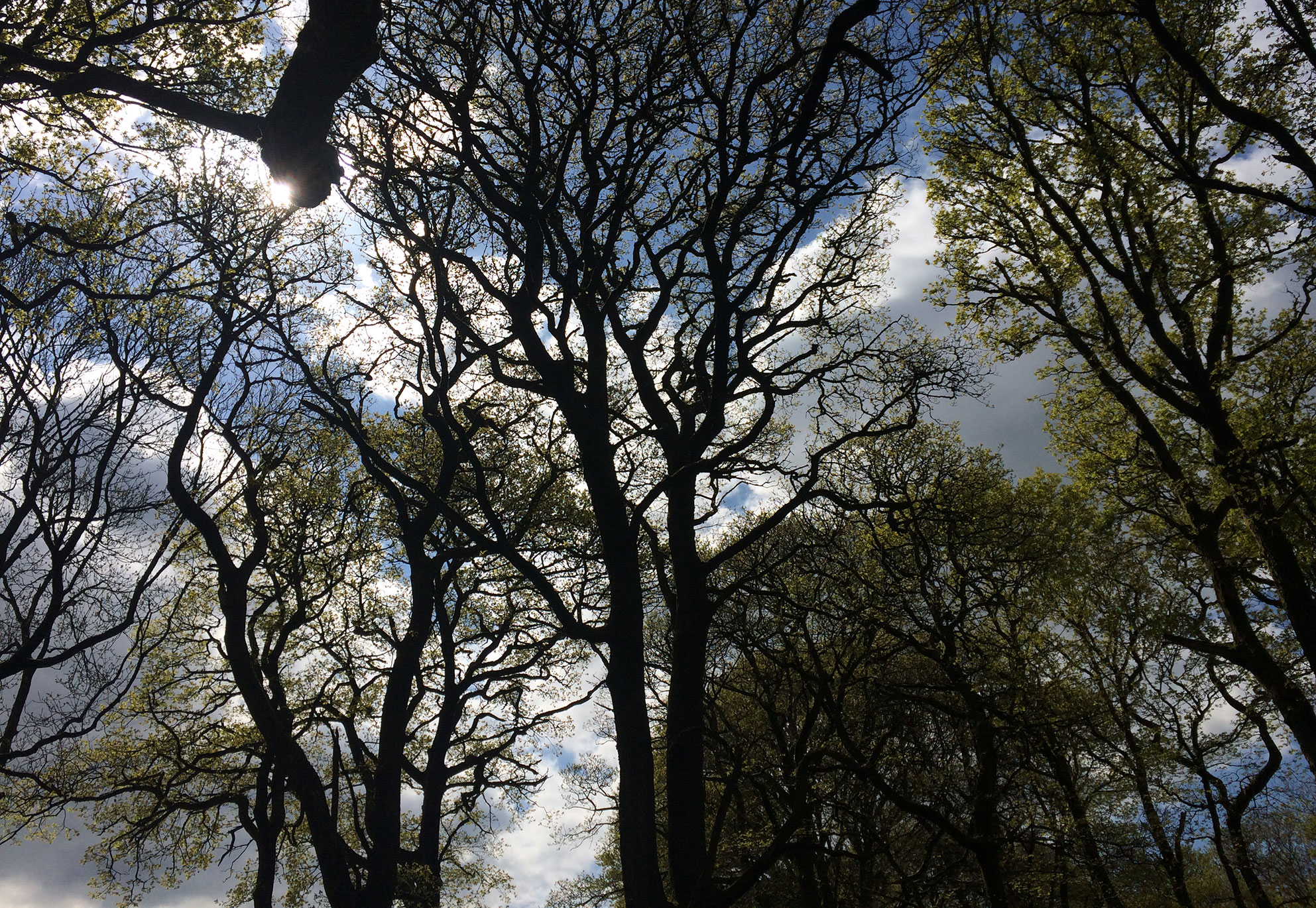 Mike Slater photography