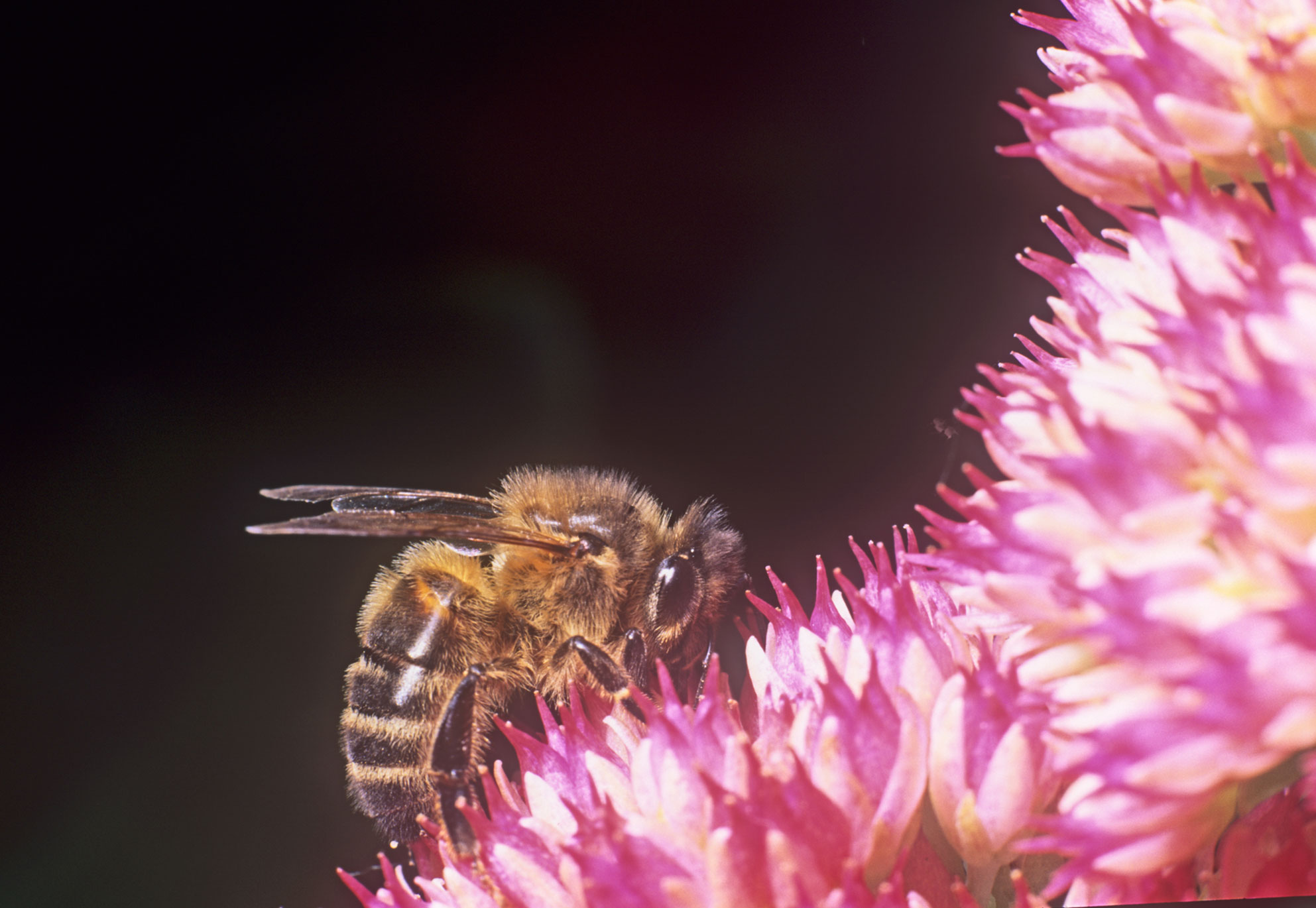 Mike Slater photography