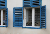 View this image larger