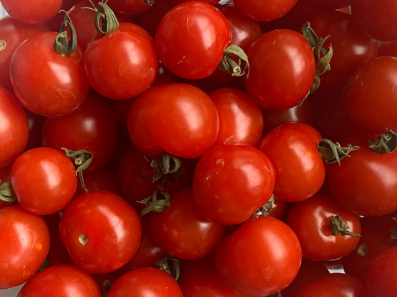 Tomatoes Nether Heyford Northants