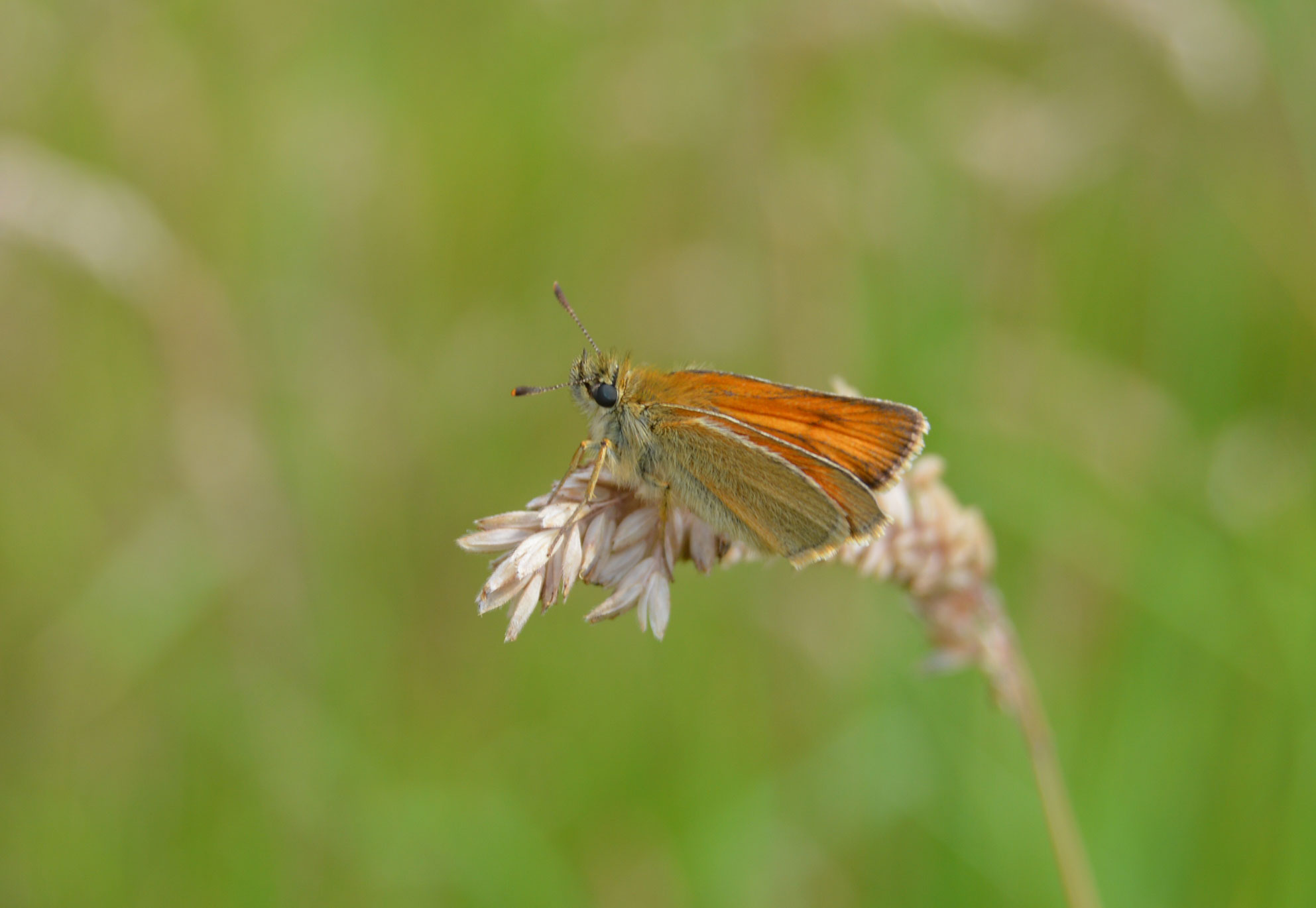 Mike Slater photography