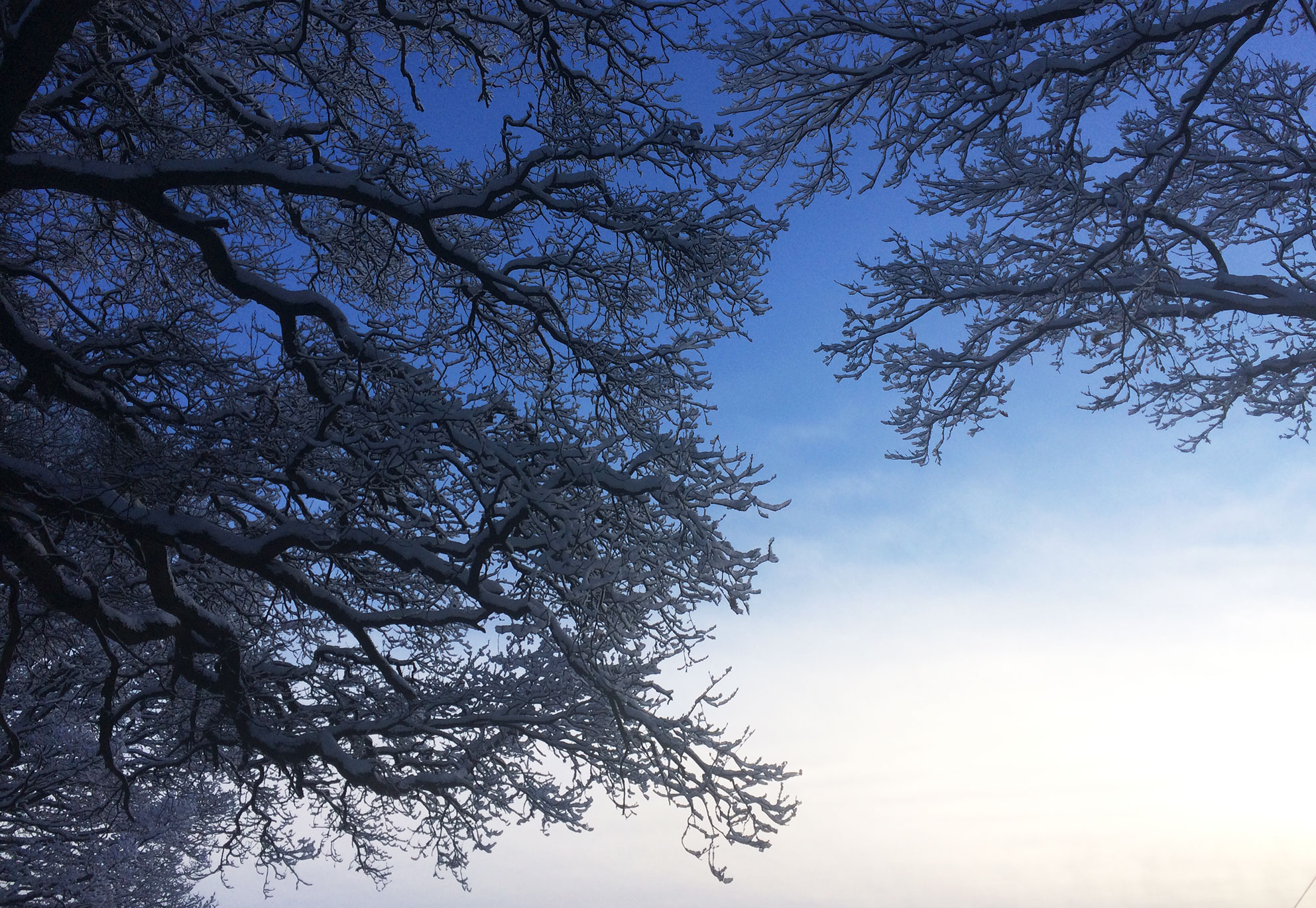 Mike Slater photography